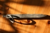 Roman Tentpeg  » Klik om in te zoomen ->